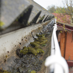 Gutter Cleaning